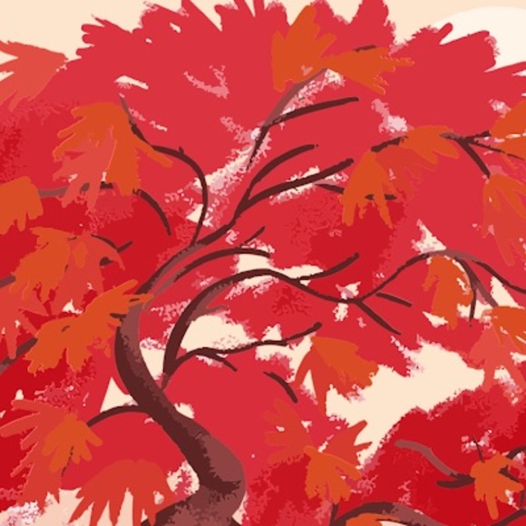 Meet your Posher, Shae - Picture 1 of 1